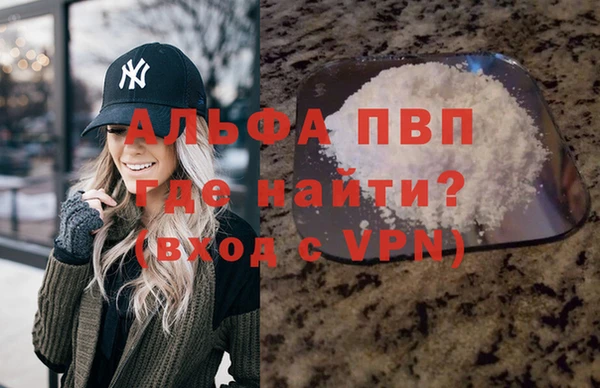 прущие грибы Бердск