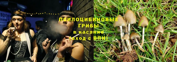 бошки Медногорск
