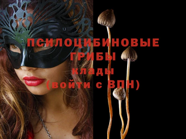 меф Михайловск