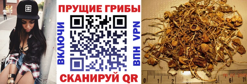 Галлюциногенные грибы Magic Shrooms  мориарти телеграм  Оленегорск  купить  